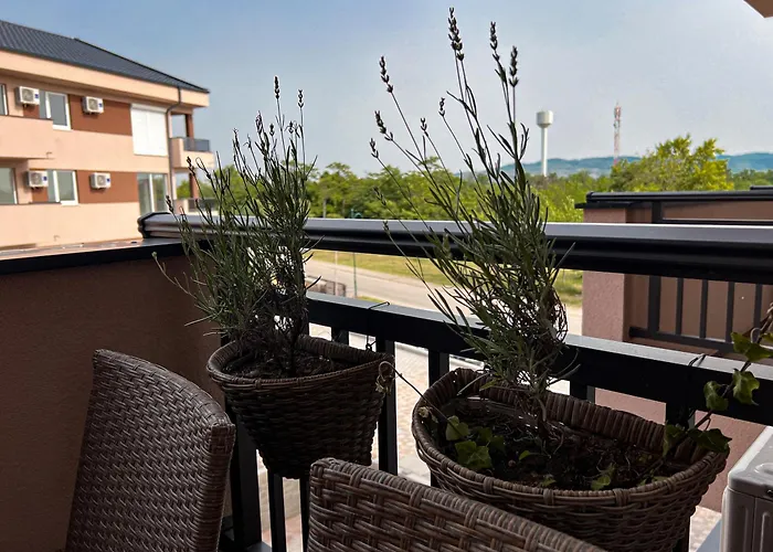 A2 Silver&spa Veliko Gradište