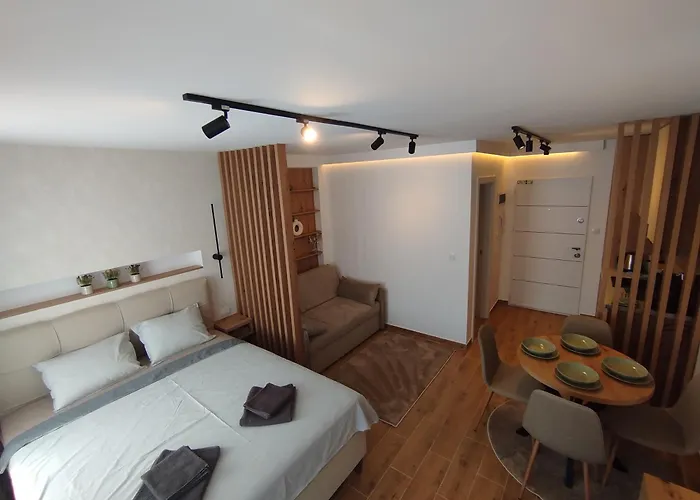 A2 Silver&spa Apartment Veliko Gradište