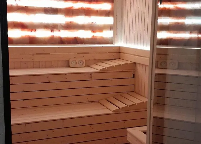 A2 Silver&spa Apartment Veliko Gradište